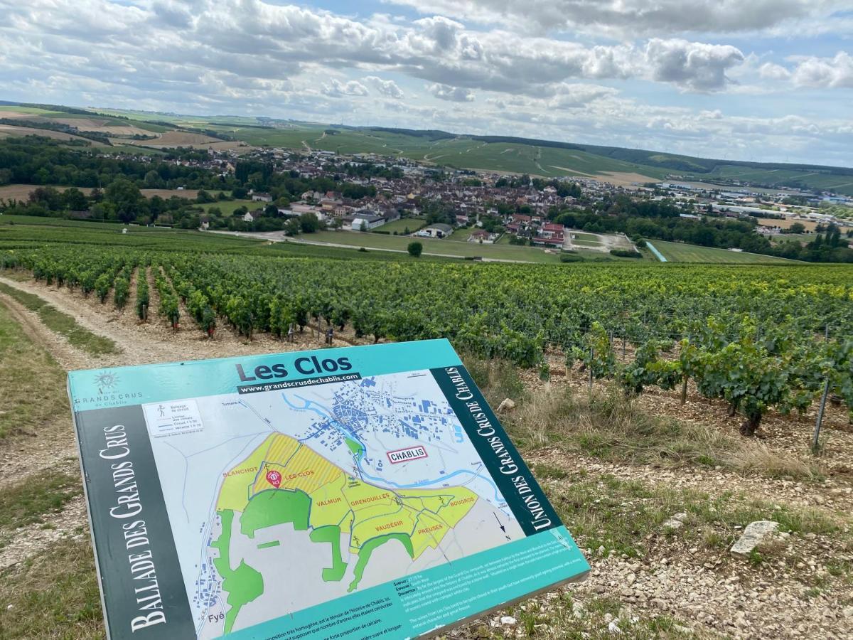 Le Cristallin Gite Plein Coeur De Chablis Εξωτερικό φωτογραφία