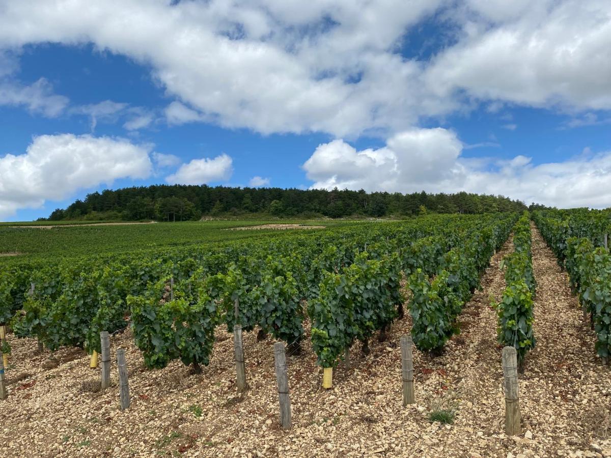 Le Cristallin Gite Plein Coeur De Chablis Εξωτερικό φωτογραφία